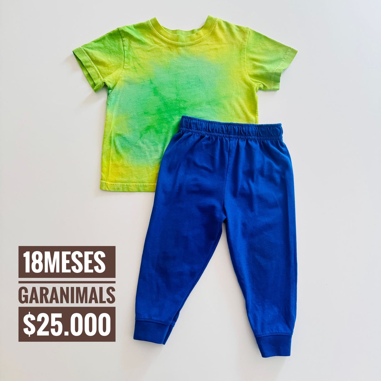 18 m Conjunto Garanimals