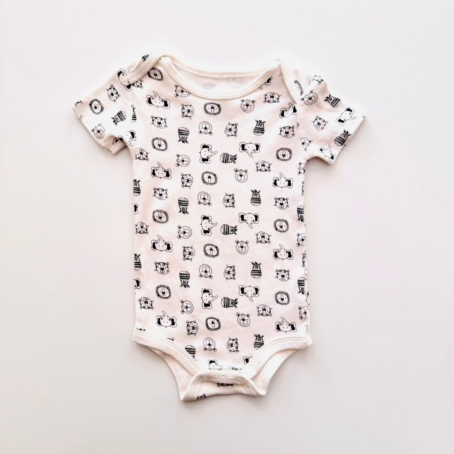 6 m Body The Peanutshell Nuevo