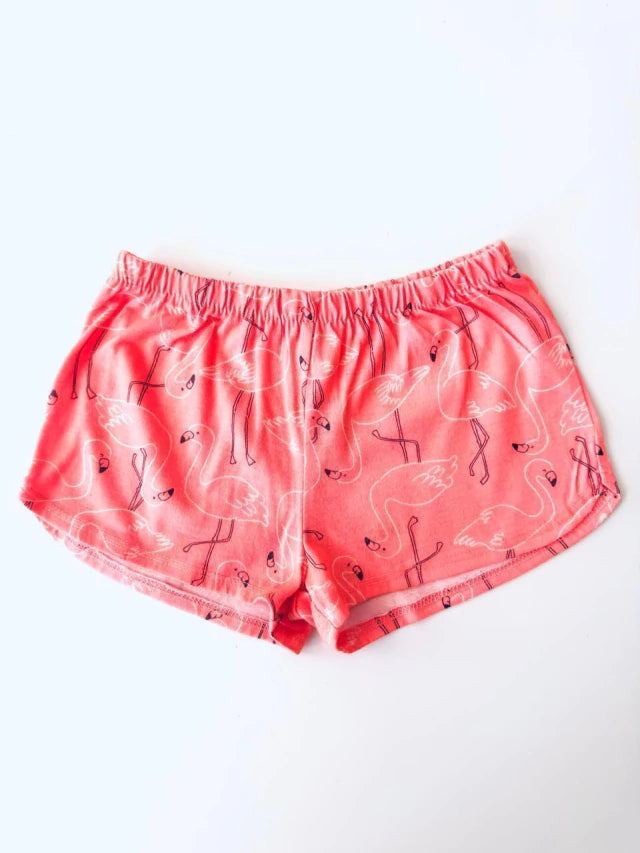 3T Short Carter´s